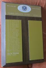 Kiwanis NZ-SP District Awards