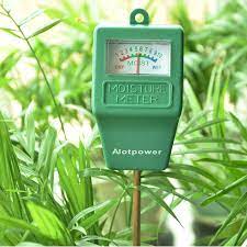 Pin On Houseplants