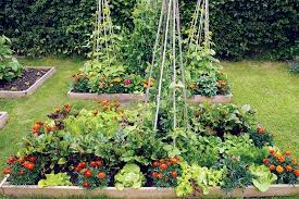 We did not find results for: Intensive Gardening Mother Earth News