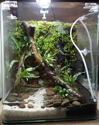 My Dennerle 30l Paludarium Glass Box Gardeners Indoor Water Garden Closed Terrarium Plants Frog Terrarium