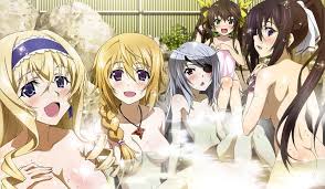 Infinite Stratos - All The Tropes