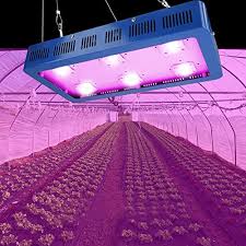 Son bac peut contenir plusieurs pots, ce qui vous permet de cultiver des plantes variées. La Meilleure Lampe Horticole Comparatif Et Avis Zone Led