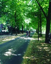 Promenade Munster Fahrrad Highway Mitten In Der Stadt Munster Stadt