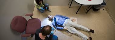 An online forensic accounting bachelor's degree can open the doors to a variety of careers and industries. Bachelor S In Forensic Science Csi Hilbert College