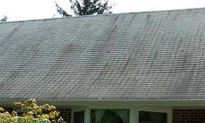 We offer, soft washroof cleaning, soft washhouse washing, driveways, sidewalks, patios, gutter cleaninginside and out, cedar roof and siding cleaning, building washing, graffiti removal, concrete cleaning, gum and rust removal, apartments and condos Roof Algae Removal Dirty Roof Cleaning In Long Island New York