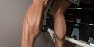 The lower leg is a major anatomical part of the skeletal system. How To Train For Stronger Calf Muscles How To Get Bigger Calves