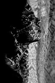 Black And White Photos Of Faces In Shadows Shadow Portrait Face Against Lace Shadow Photography Shadow Photos Black And White Portraits