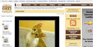 Image result for i can has cheezburger