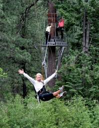 durango zipline tours things to do in durango mild to wild ziplining road trip to colorado top adventures pinterest
