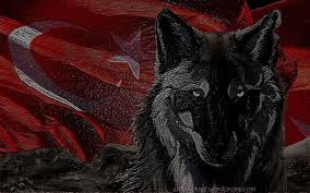 Kara Kurt Boyama Kurt Bozkurt Turkce Turkiye Bayrak Hd Masaustu Duvar Kagidi Wallpaperbetter