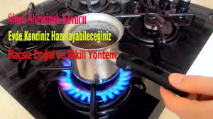 Sinek Sivrisineklerden Kurtulmanin Dogal Yolu Etkili Dogal Sinek Kovucu Yontem Dogal Yaz