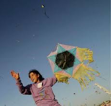 Image result for Gleichenia elongata