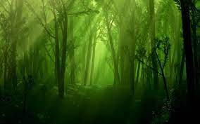 Nature background royalty free stock video and stock footage. Mystical Forest Wallpapers 61 Best Mystical Forest Wallpapers And Images On Wallpaperchat