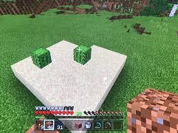 21.03.2021 · cactus can be used for decorating paths, gardens, and bases in minecraft. Cactus Isn T Growing Need For Green Dye Never Had A Cactus Farm Before So Help Is Appreciated Minecraft