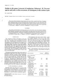 Image result for Dichilus bainesii