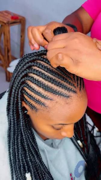 Two Layers Feeding Cornrows