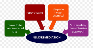 Flowchart Pollution Bioremediation Diagram Bioremediation