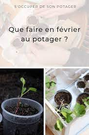 que faire en fevrier au potager preparer le potager et premiers semis en interieur potager semis jardin potager