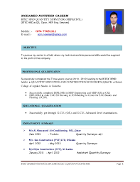 Download cv format for diploma holders (word document) download cv format for diploma holders (pdf) this sample resume has been designed to focus on: My Resume