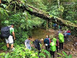 You will get to see a diverse variety of tropical vegetation and wildlife in crocker range national park, sabah that you will not chance upon anywhere else in borneo. Adventures In Borneo On Twitter Danish Group Adventuredk Explores Crocker Range National Park Treks The Historic Salttrails Expeditionborneo Https T Co 3wuk5db9qa Https T Co Jngcqgrwp1