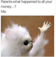 Persian Room Cat Guardian Persian Cat Room Guardian Cat Memes Best Cat Food