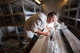 Now, let us understand income tax deductions and exemptions in detail. Study Reveals Wetlands Are Susceptible To Rapid Lowering In Elevation During Large Earthquakes
