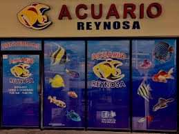 It is also the municipal seat of reynosa municipality. Acuario Reynosa Startseite Facebook