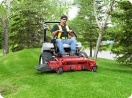 Same day or next day service. Spring Lawn Care Lawn Maintenance Ram Cleaning Calgary