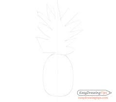 We finish the drawing with the image of shadows on the uneven surface of the fetus and the removal of auxiliary lines. How To Draw A Realistic Pineapple Step By Step Easydrawingtips