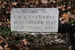 Lafayette McMullen “L. M.” Collier (1848-1938)