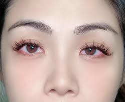 Lisa Lash's Instagram, Twitter & Facebook