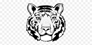 Stack of books clipart 18. Tiger Head Black And White Tiger Clipart Black And White Stunning Free Transparent Png Clipart Images Free Download