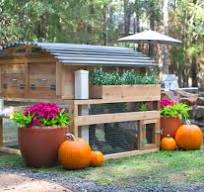 Backyard Chicken Coop Model 2