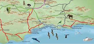 If you are looking for suggestions of where to go in the eastern cape and garden route south africa, check out our garden route regional info or our garden route suggested itineraries. Maps Of The Garden Route South Africa Travel Route Route Map