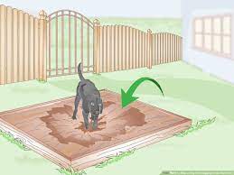 The area beneath your deck is prime real estate for animals looking for a dark, dry place to build their nests. How To Stop A Dog From Digging Under The Fence 8 Steps