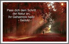 Coole sprüche und gute sprüche gibt es hier! Bin Mit Dabei Spruche Dorfkind Bin Mit 23 Aus Dem Dorf Ausgezogen Die Besten Spruche Zu Dabei Pz1g59