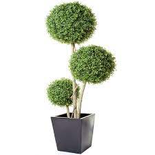 The evergreen leaves are shaped in flat fronds similar to a fern, but with a hearty fullness the boxwood is simple to shape into just about any design, especially rounded balls or spiral shapes. Boxwood Three Ball Tree Topiary Allissias Attic Vintage French Style Topiary Japan Garden Faux Floral Arrangement