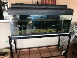 Aquarium 4ft X 1 15 Inch Include Stand Support Pet Supplies Pet Accessories On Carousell