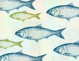 Items Similar To Retro Fish Art Print Vintage Illusration With A Modern Twist Giclee Art Print 11 X 14 On Etsy Fish Art Vintage Fish Poster Prints