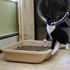 The Best Litter Box For Multiple Cats That Will Make Your Life Easier The Cat Mama Cat Training Best Litter Box Mama Cat