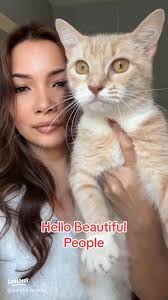 All About Ginger Cats: Characteristics and Care