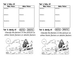 Knowing this, give an example of what might happen given the following situations. Biotic And Abiotic Factors Define And Identify By William Magic