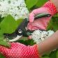 FREE WORKSHOP: Pruning with Purpose event in Roseville, CA