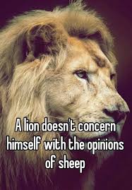 A Lion Doesn T Concern Himself With The Opinions Of Sheep