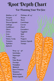 Handy Little Chart For Choosing Pot Sizes For You Veggies