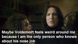 Harry Potter Meets Lolcatz Harry Potter Obsession Harry Potter Funny Harry Potter Memes