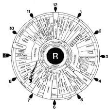 File Iridology Iris Eye Chart Right Mirror Jpg Wikimedia