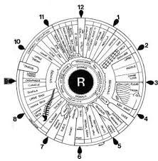 file iridology iris eye chart right mirror jpg wikimedia