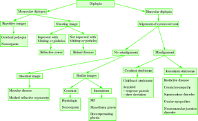 Image result for Diplopia