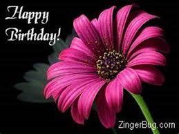 We did not find results for: Happy Birthday Flowers Memes